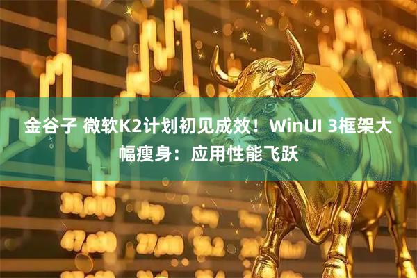 金谷子 微软K2计划初见成效！WinUI 3框架大幅瘦身：应用性能飞跃