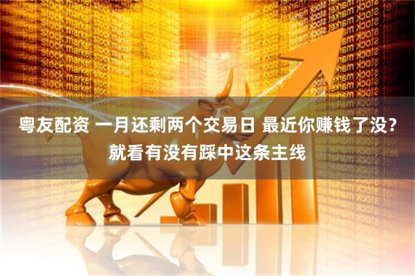 粤友配资 一月还剩两个交易日 最近你赚钱了没？就看有没有踩中这条主线